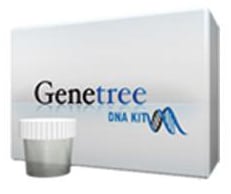 Mtdna