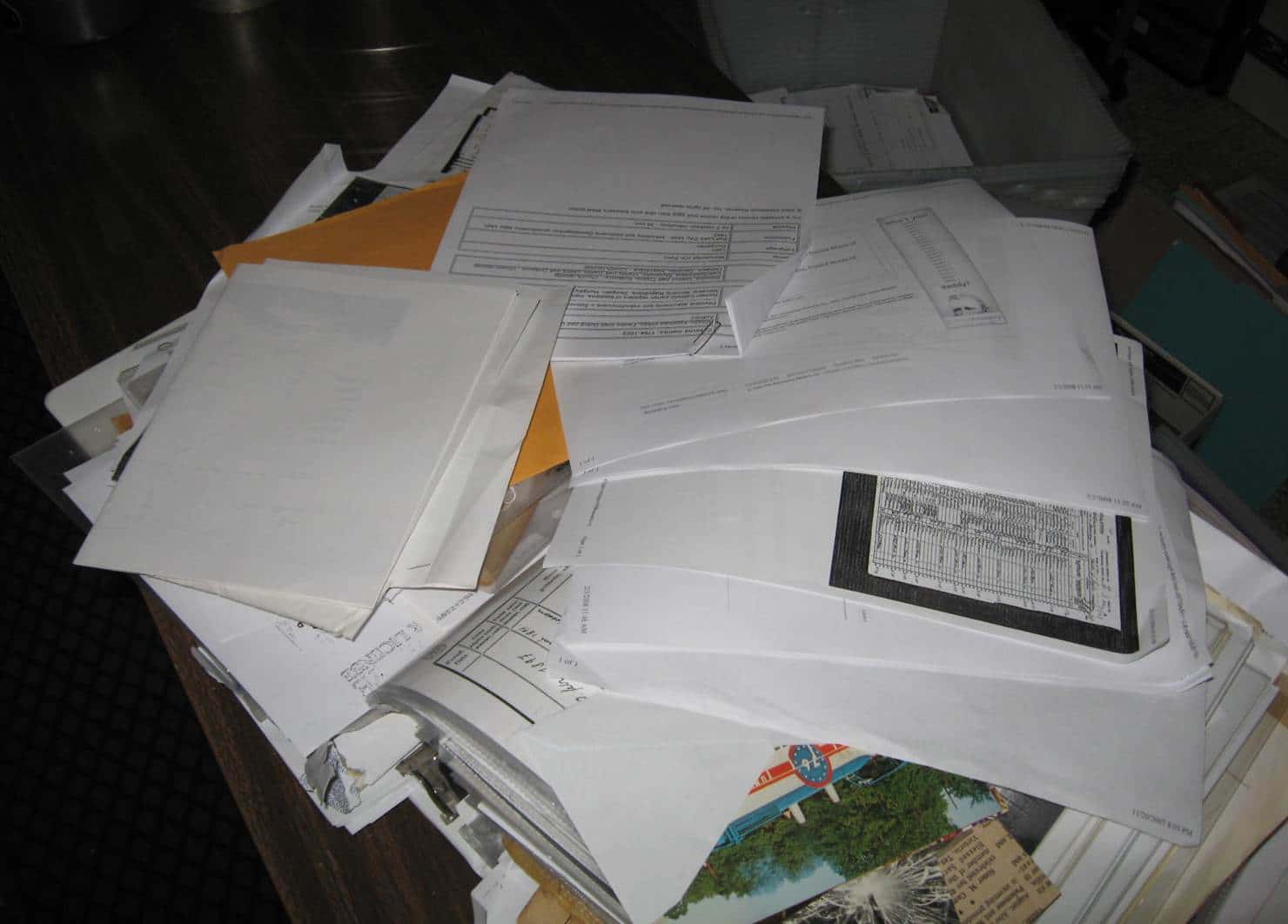 Alzo_Legacy_Blog_Post_Summer_Genealogy_02