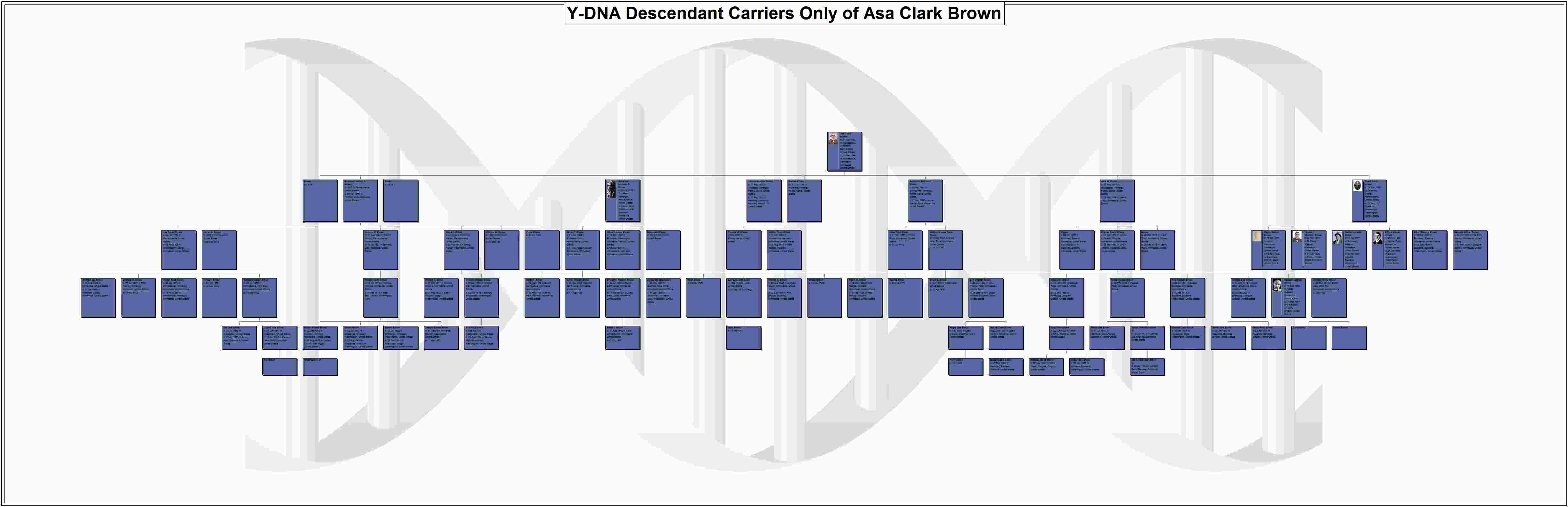Y-DNA Descendant Carriers Only of Asa Clark Brown