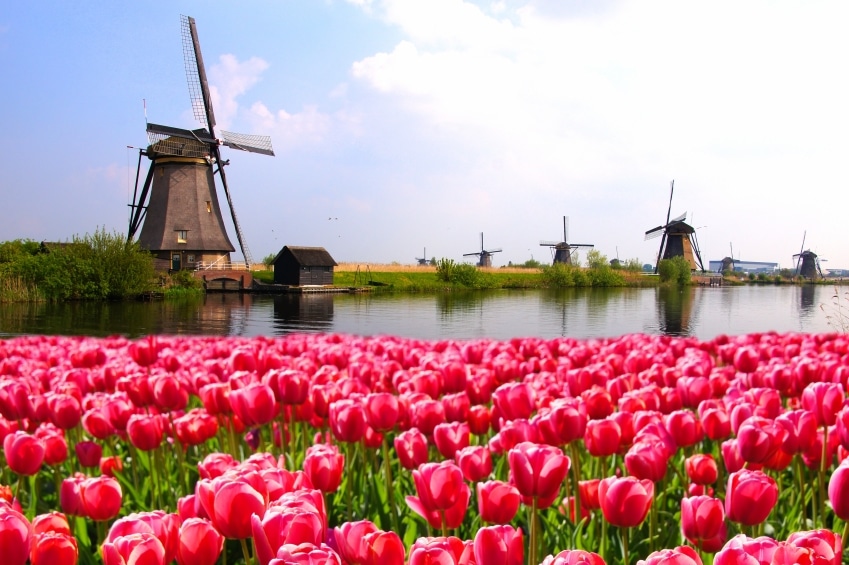 IStock_000060228428_Small