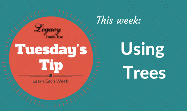 TT - Using Trees TT - Using Trees