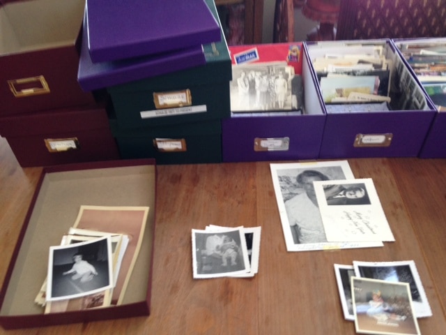 Bog Organize Photos 2