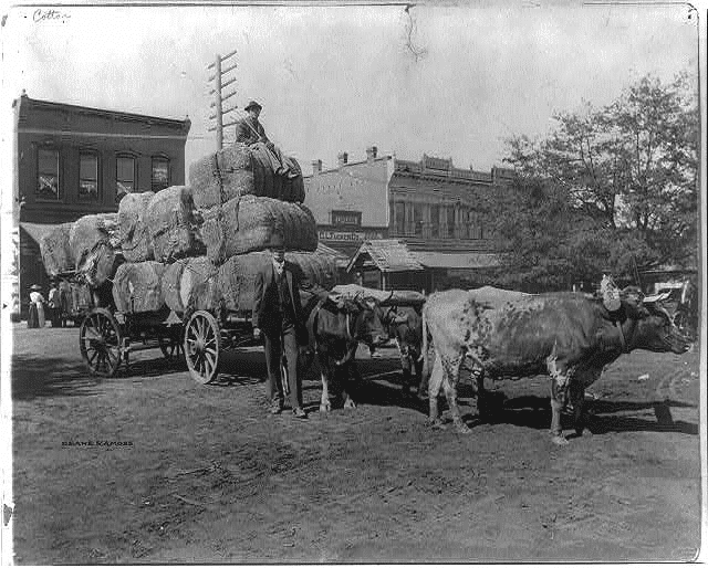 Georgia Farmer