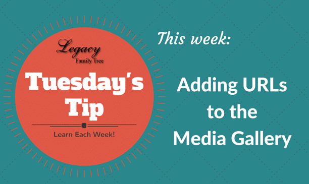 Adding URLs to the Media Gallery