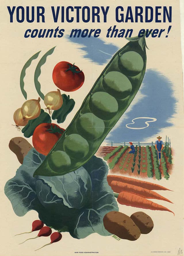 Victory-garden-wikipedia