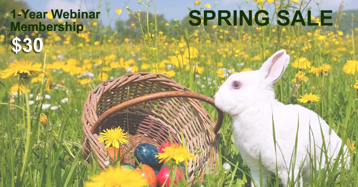 Bunny-iStock-Facebookad
