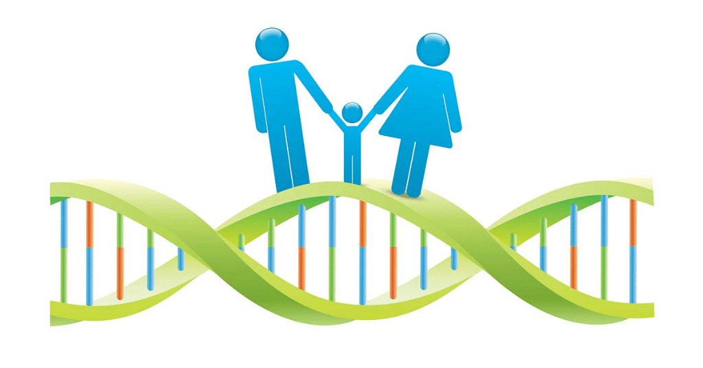 Working with DNA Using MyHeritage and Legacy