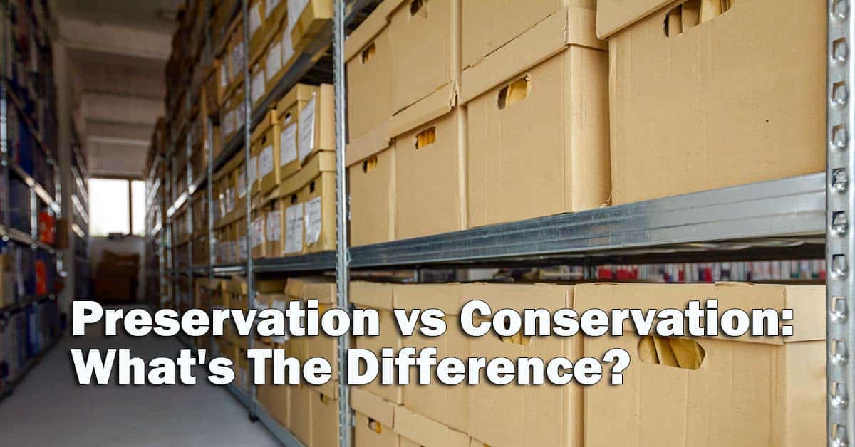 Preservation vs Conservation: What's The Difference?