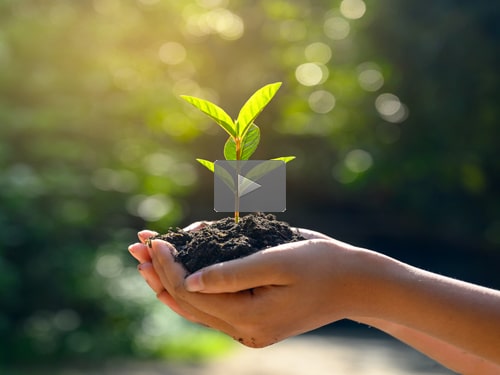 2021-02-02-nurture-500blog