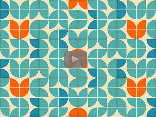 New "Bonus" Webinar - Seeing the Patterns: Organize, Visualize, & Evaluate the Evidence by Teri E. Flack