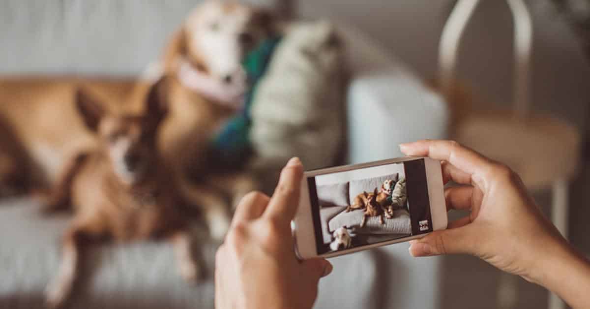 How Many Photos are on Your Phone?