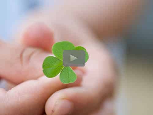 Documents + DNA + Method + a little bit of Luck: Combining Tools to Find Biological Family - free webinar by Elizabeth Williams Gomoll, CG now available to view for limited time