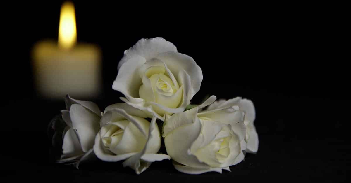 Write Your Own Obituary Write Your Own Obituary