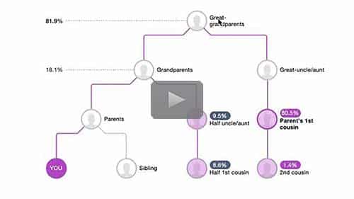 New Developments of MyHeritage DNA — free replay of today's webinar by Gal Zrihen now available