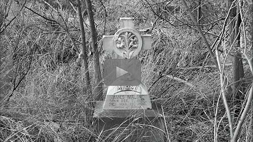 Written in Stone: In-Depth Study of a Gravestone - free replay of today's webinar by Gena Philibert-Ortega now available for limited time