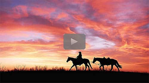 Margaret’s Baby’s Father & The Lessons He Taught Me - replay of today's webinar by Elizabeth Shown Mills now online for webinar members