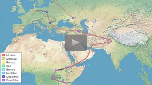 How and When Did Our European Ancestors Get to Europe? — free replay of today's webinar by David Dowell now available for limited time