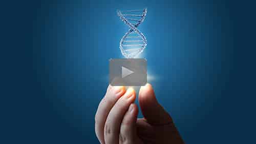 Strategies to Analyze Endogamous DNA — free replay of today's webinar by Alec Ferretti now available for limited time