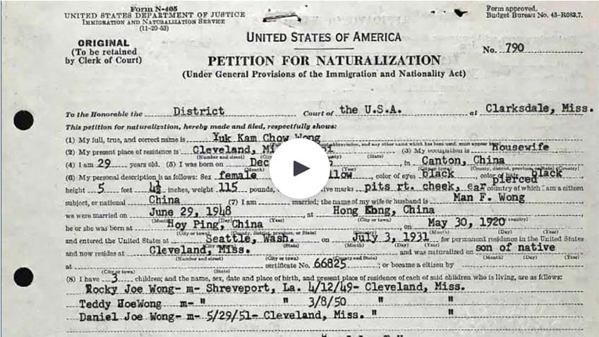 Chinese Immigration in the South Chinese Immigration in the South
