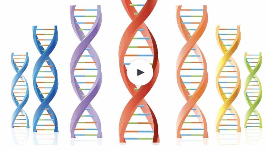 The Power of Siblings โ the DNA Tests of Five Brothersโfree replay of today's webinar by Donna Rutherford now available for limited time The Power of Siblings โ the DNA Tests of Five Brothersโfree replay of today's webinar by Donna Rutherford now available for limited time